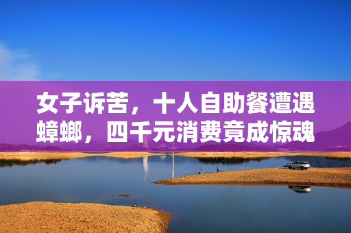 女子诉苦，十人自助餐遭遇蟑螂，四千元消费竟成惊魂夜