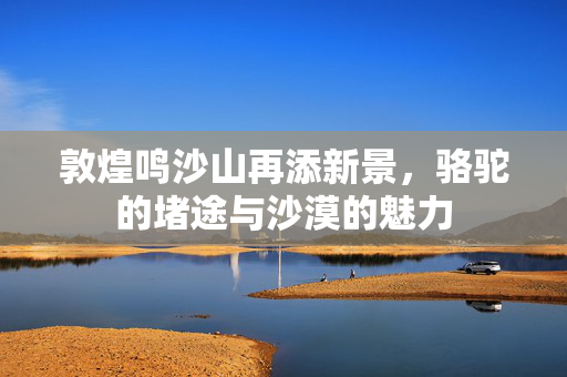 敦煌鸣沙山再添新景，骆驼的堵途与沙漠的魅力