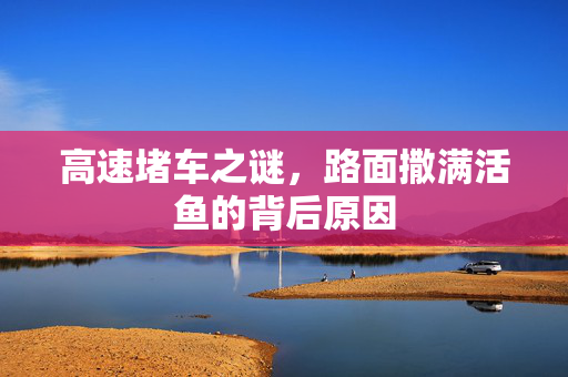 高速堵车之谜，路面撒满活鱼的背后原因