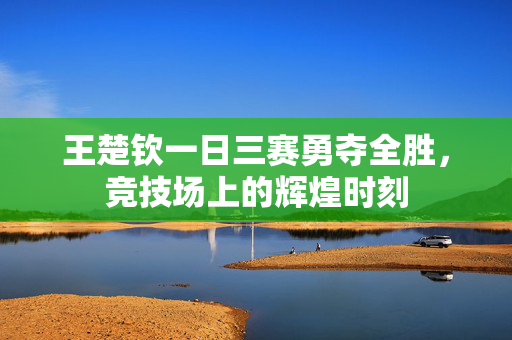 王楚钦一日三赛勇夺全胜，竞技场上的辉煌时刻