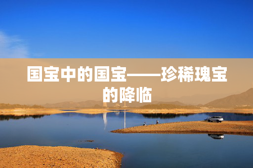 国宝中的国宝——珍稀瑰宝的降临