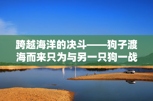 跨越海洋的决斗——狗子渡海而来只为与另一只狗一战