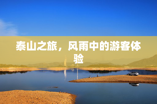 泰山之旅，风雨中的游客体验