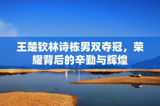 王楚钦林诗栋男双夺冠，荣耀背后的辛勤与辉煌