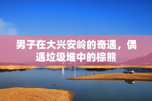 男子在大兴安岭的奇遇，偶遇垃圾堆中的棕熊