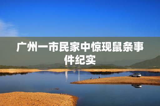 广州一市民家中惊现鼠条事件纪实