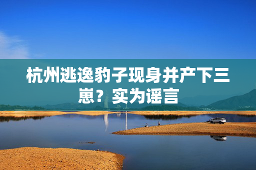 杭州逃逸豹子现身并产下三崽？实为谣言