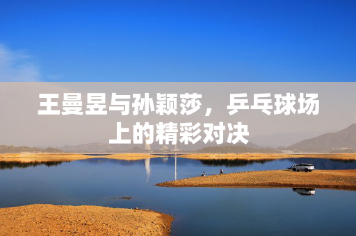 王曼昱与孙颖莎，乒乓球场上的精彩对决