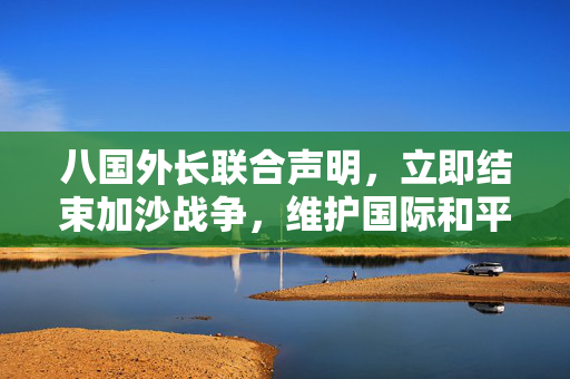 八国外长联合声明，立即结束加沙战争，维护国际和平与安全