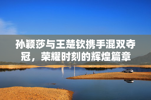 孙颖莎与王楚钦携手混双夺冠，荣耀时刻的辉煌篇章