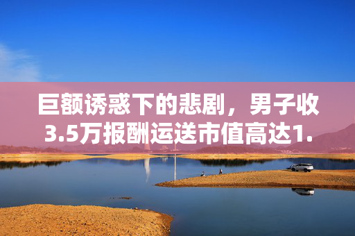 巨额诱惑下的悲剧，男子收3.5万报酬运送市值高达1.46亿的毒品