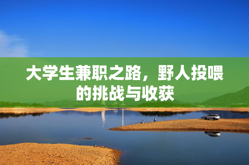 大学生兼职之路，野人投喂的挑战与收获