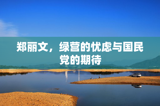 郑丽文，绿营的忧虑与国民党的期待