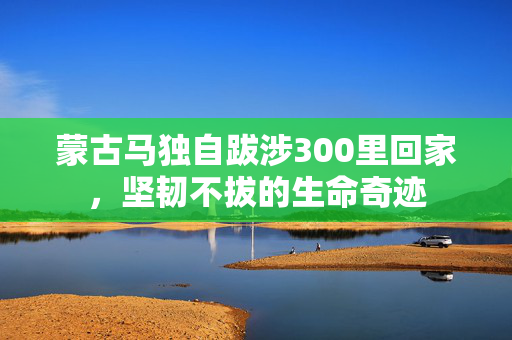 蒙古马独自跋涉300里回家，坚韧不拔的生命奇迹