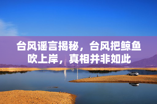 台风谣言揭秘，台风把鲸鱼吹上岸，真相并非如此