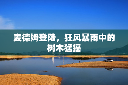 麦德姆登陆，狂风暴雨中的树木猛摇