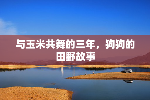 与玉米共舞的三年，狗狗的田野故事
