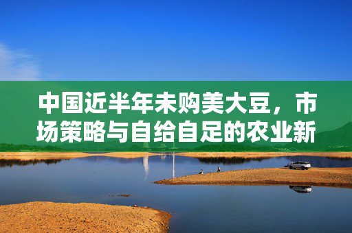 中国近半年未购美大豆，市场策略与自给自足的农业新篇章