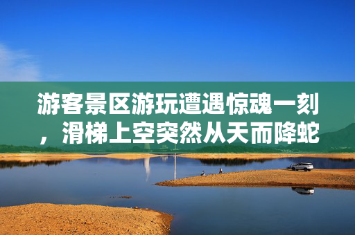 游客景区游玩遭遇惊魂一刻，滑梯上空突然从天而降蛇影