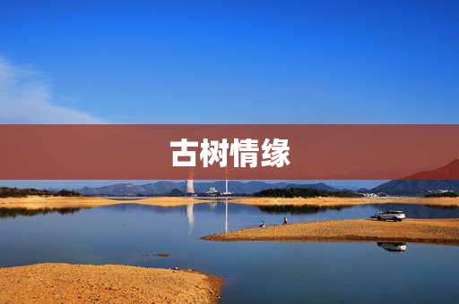古树情缘