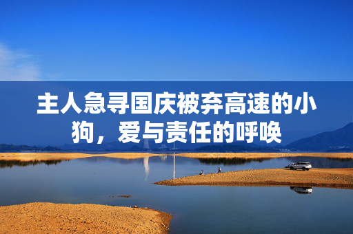 主人急寻国庆被弃高速的小狗，爱与责任的呼唤