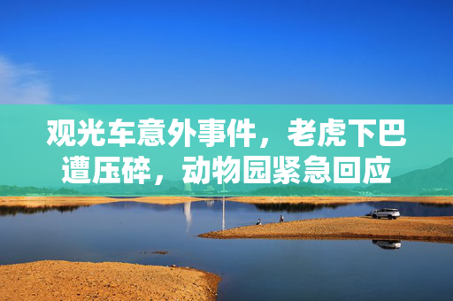 观光车意外事件，老虎下巴遭压碎，动物园紧急回应