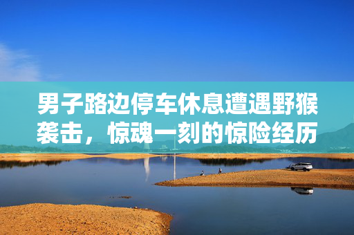 男子路边停车休息遭遇野猴袭击，惊魂一刻的惊险经历