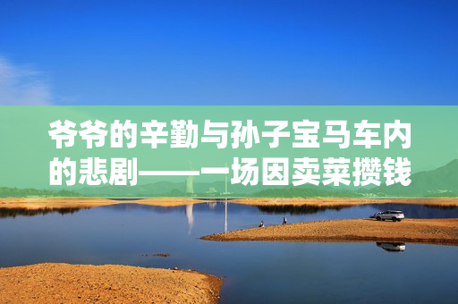 爷爷的辛勤与孙子宝马车内的悲剧——一场因卖菜攒钱而起的失窃事件