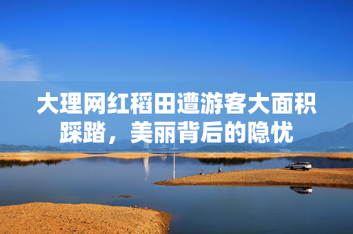大理网红稻田遭游客大面积踩踏，美丽背后的隐忧