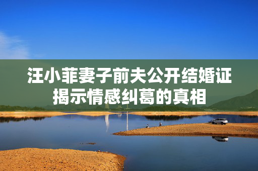 汪小菲妻子前夫公开结婚证揭示情感纠葛的真相
