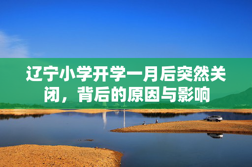 辽宁小学开学一月后突然关闭，背后的原因与影响
