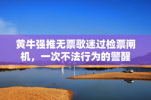 黄牛强推无票歌迷过检票闸机，一次不法行为的警醒