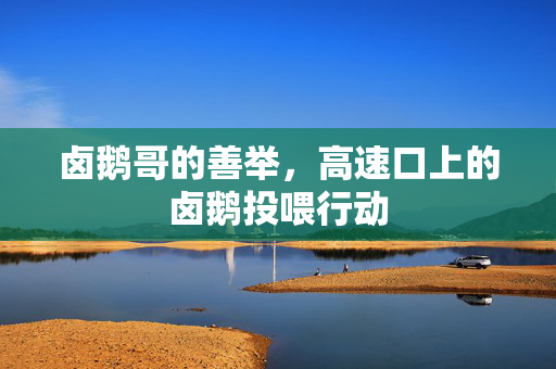 卤鹅哥的善举，高速口上的卤鹅投喂行动