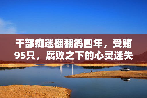 干部痴迷翻翻鸽四年，受贿95只，腐败之下的心灵迷失