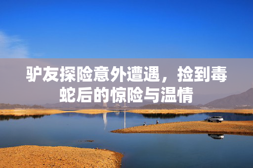 驴友探险意外遭遇，捡到毒蛇后的惊险与温情
