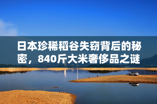 日本珍稀稻谷失窃背后的秘密，840斤大米奢侈品之谜