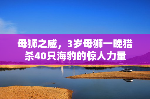 母狮之威，3岁母狮一晚猎杀40只海豹的惊人力量