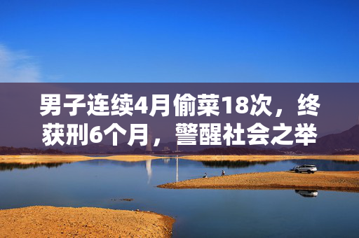 男子连续4月偷菜18次，终获刑6个月，警醒社会之举