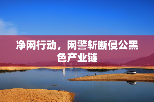 净网行动，网警斩断侵公黑色产业链