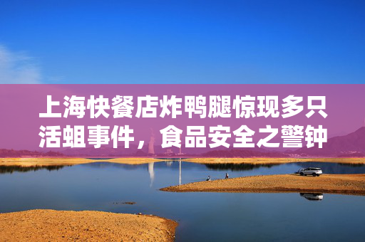 上海快餐店炸鸭腿惊现多只活蛆事件，食品安全之警钟长鸣