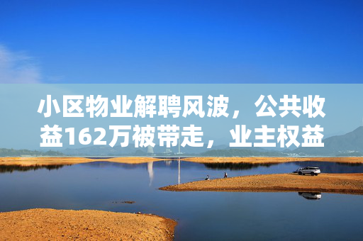 小区物业解聘风波，公共收益162万被带走，业主权益如何保障？