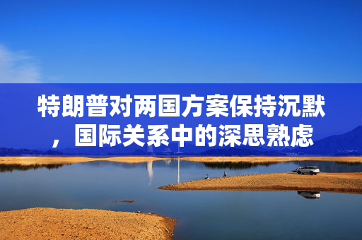 特朗普对两国方案保持沉默，国际关系中的深思熟虑