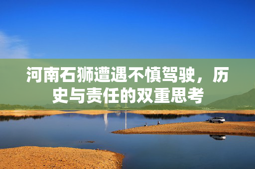 河南石狮遭遇不慎驾驶，历史与责任的双重思考