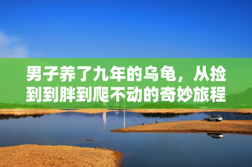 男子养了九年的乌龟，从捡到到胖到爬不动的奇妙旅程
