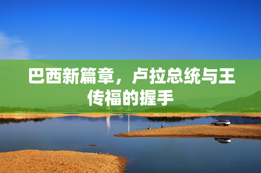 巴西新篇章，卢拉总统与王传福的握手