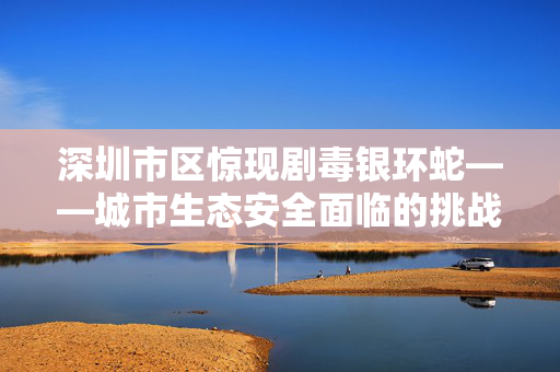 深圳市区惊现剧毒银环蛇——城市生态安全面临的挑战与应对策略