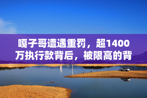 嘎子哥遭遇重罚，超1400万执行款背后，被限高的背后故事