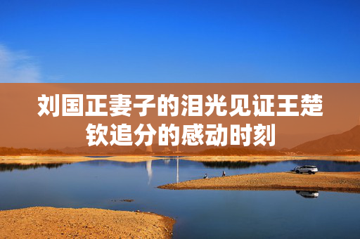 刘国正妻子的泪光见证王楚钦追分的感动时刻