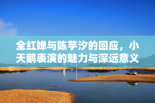 全红婵与陈芋汐的回应，小天鹅表演的魅力与深远意义