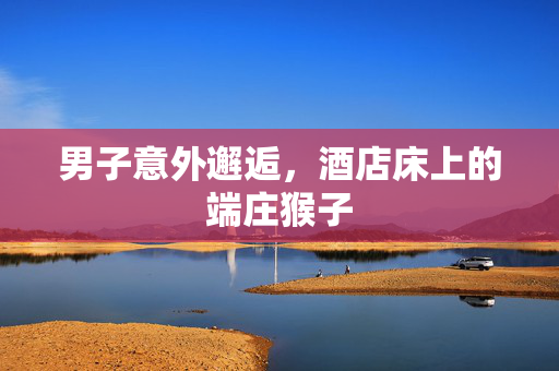 男子意外邂逅，酒店床上的端庄猴子